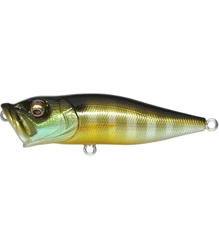 Amazon.com : Megabass POP-X Topwater - USA GG Bass : Sports